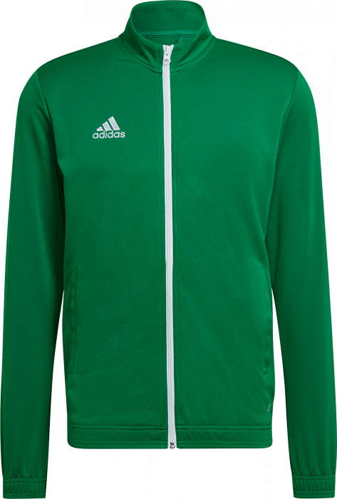 Adidas - Entrada 22 Training Jacket - T Green & blanc